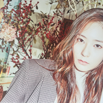 크리스탈 <b>시그</b>봄?