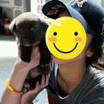 [강아지] <b>역변</b>한 우리 곰돌이 3탄