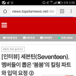 [세븐틴] 인터뷰떴다!