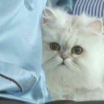 [EXO] 아조카귀여워