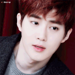 [EXO] ㅅㅂ준면이보고 <b>정상들</b> 걍 자라