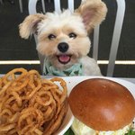 [드루와] 남자들아 <b>바세린</b>바르면 거기 커진다는데