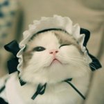 [댓글부탁해] 나한테 공부자극 좀..(<b>간절</b>)