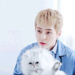 [EXO] 엑소<b>비쥬얼</b>.ㄷㅌㅇ