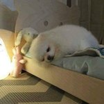 아ㅅㅂ 방금아빠가 내<b>머리위</b>에 선물두고갔는데