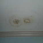 [꼭조언부탁] 전세거주중 아랫집 누수문제