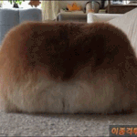 [BAP] Don't make <b>me</b> fight