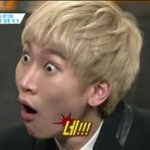 [댓글부탁해] 짤털이하자