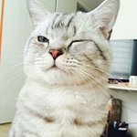 [드루와] <b>닉</b>변할건데 이<b>닉</b> 어때?