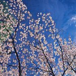 [EXO] <b>미방</b>) 운빨테스트 1~9 고르고 들어오시오.