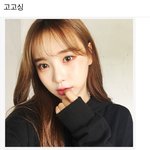 [드루와] 너네 한아름송이 고고싱 알고있었음?