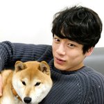 우타이테 <b>내한</b>