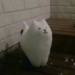 [조언부탁해] 중2 겨울방학 <b>쌍수</b>