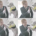 [EXO] 개 <b>만도</b> 못한 인생