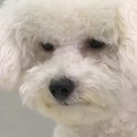 [EXO] 오늘 혼자서 팬싸 <b>응모</b>하러 갈건데