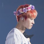 [EXO] 나는<b>자몽</b>도좋았다
