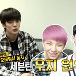 [세븐틴] 아 애들 정대만 하면 좋겠다
