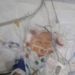 [방탈죄송] 7개월 준성이의 억울함을 풀어주세요.