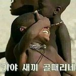 [세븐틴] 캐럿들 상태<b>변호</b>ㅓ