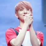 [세븐틴] 스브스 엿먹길