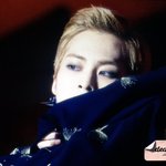 [EXO] 민들레홀씨따위에 <b>시선</b> 안감