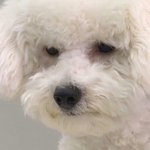 [EXO] ??:스브스..나와..