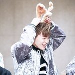 [세븐틴] 캐로<b>시들</b>...