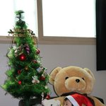 [고양이] 육묘일기 <b>ver</b>2.0