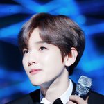 [EXO] 변백현머리색 <b>브라운</b>애쉬그레이
