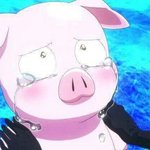 [드루와] 어제 우리엄마 빨래 도와드렸는데 펑펑 <b>우심</b>..