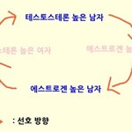 [한번<b>보삼</b>] 테스토스테론과  끌리는남녀스타일의 관계
