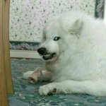 애들아제발도와줘ㅠㅠ고민들어줄사람!!