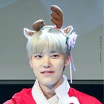[BAP] 이 팬톡에는 몇 <b>명이</b> 있을까
