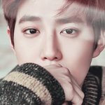 [EXO] 안녕하세요 엔터에 작성하기엔 좀 그래서요 일단 <b>죄송</b>합니다