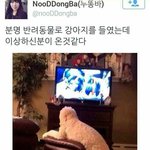 [댓글부탁해] 적당한 성격이 되는 방법?