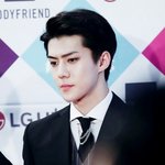 [세훈] 161226 <b>레드카</b>펫 고화질2