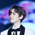 [EXO] 보면 심장죽어서 잠안오는짤 <b>풀자</b>