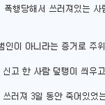 [공미니] 아기뺑소니 친 대륙의 <b>시민</b>의식