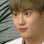[댓글부탁해] 너희는 판 어느 단계까지 올랐어??