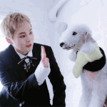 [EXO] 푸들이 양처럼 <b>미용</b>한거?