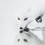 경이로운 <b>아이슬란드</b>의 자연