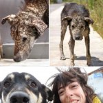 동물과 <b>사람</b>들의 훈훈한 <b>만남</b>