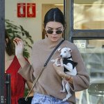 시강쩌는 <b>켄달</b> 제너 강아지