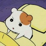 [드루와] 흰색 목<b>폴라</b>위에 뭐 입어??