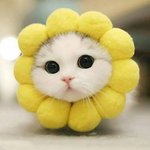 [드루와] 고등학교나 대학입시 궁금한거있음 <b>무러</b>방