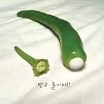 머시론 <b>피임</b>광고 수준