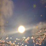 [댓글부탁해] <b>소설책</b>추천좀해줭~