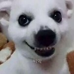 너네 깜띡한 지녁이 아니..?