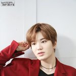 [댓글부탁해] 떡볶이코트<b>유행</b><b>탐</b>?