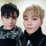 [세븐틴] 얘들아 큰일났어....!!!!!